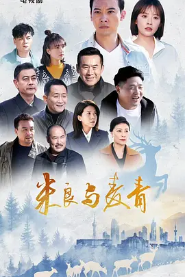 米良与麦青 海报